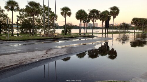 Lake Ivanhoe